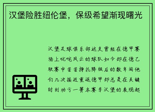 汉堡险胜纽伦堡，保级希望渐现曙光